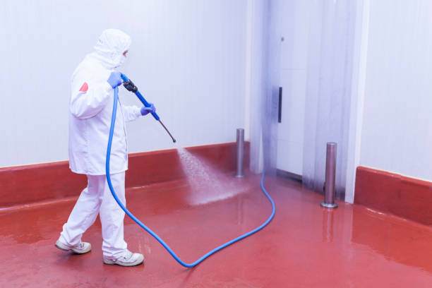 Best Patio and Deck Pressure Washing  in Bradley Beach, NJ