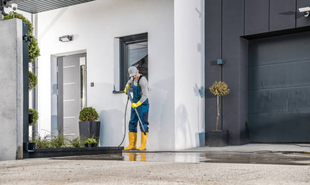 Animal Enclosure Cleaning in Bradley Beach, NJ